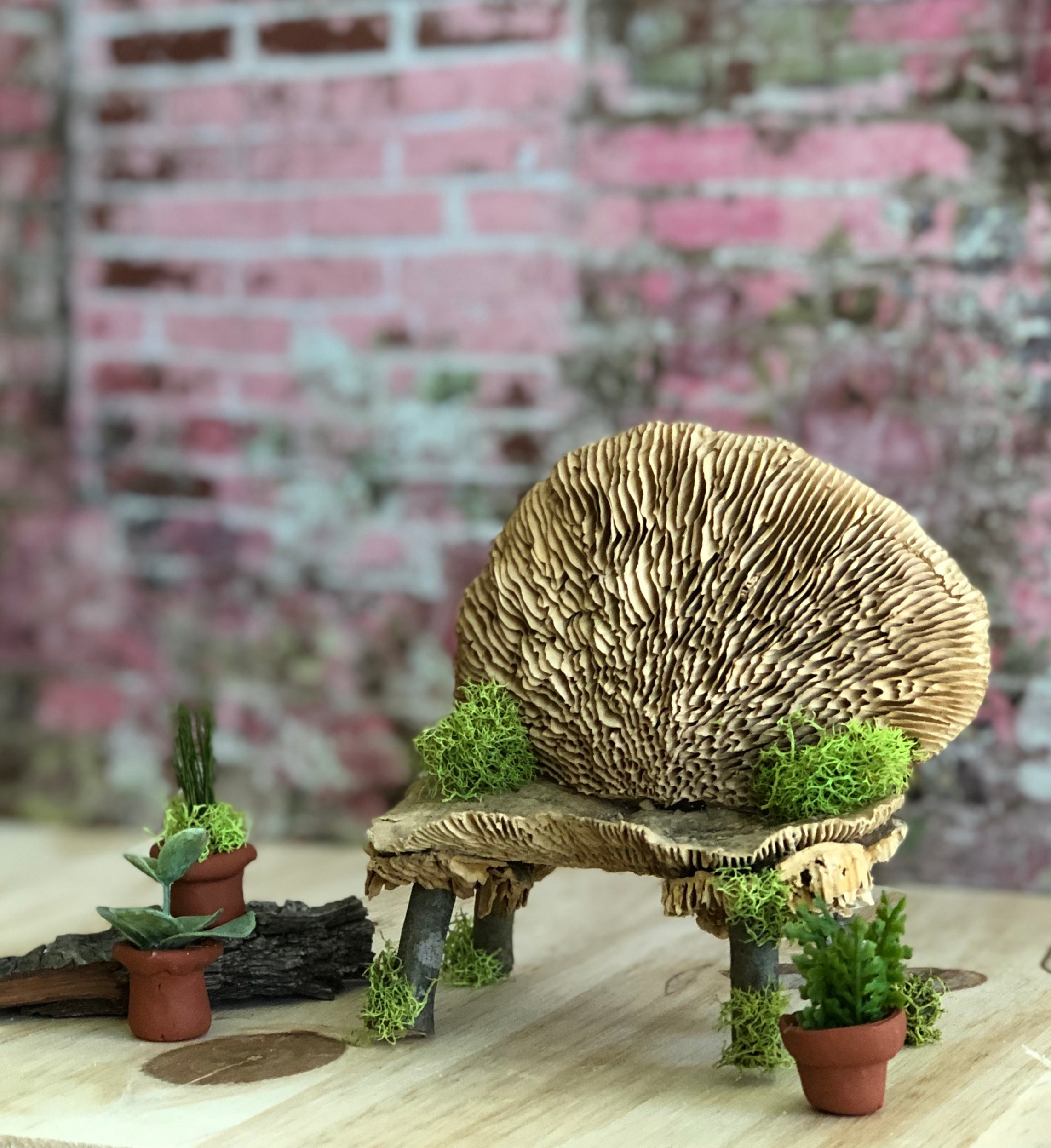 Mushroom Bench with Herb Pots