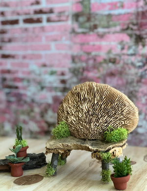 Mushroom Bench with Herb Pots